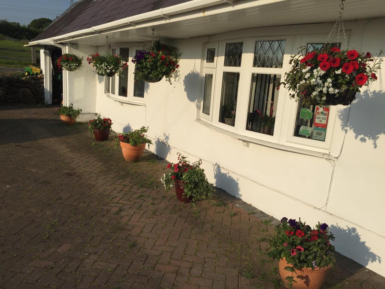 Brynawel Farm B&B Pontlliw Kültér fotó